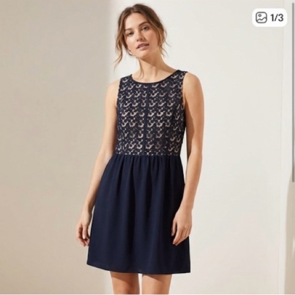 LOFT Navy Floral Lace Overlay Work Dress / Formal Dress